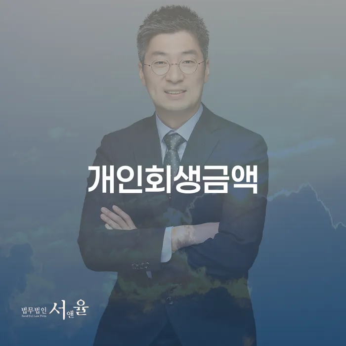 대한재무 개인회생으로 방법 관련정보