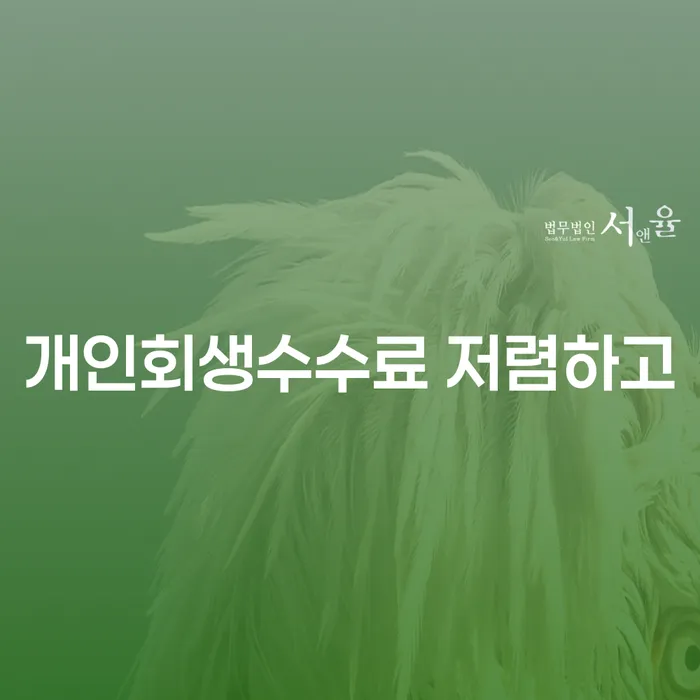 카드값 개인회생으로 방법 총정리