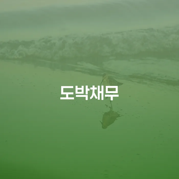 신용불량자사업자등록 빚 합법적인 빠른방법 미리알기