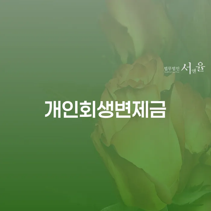 개인회생분납 개인회생으로 방법 확실한 진행