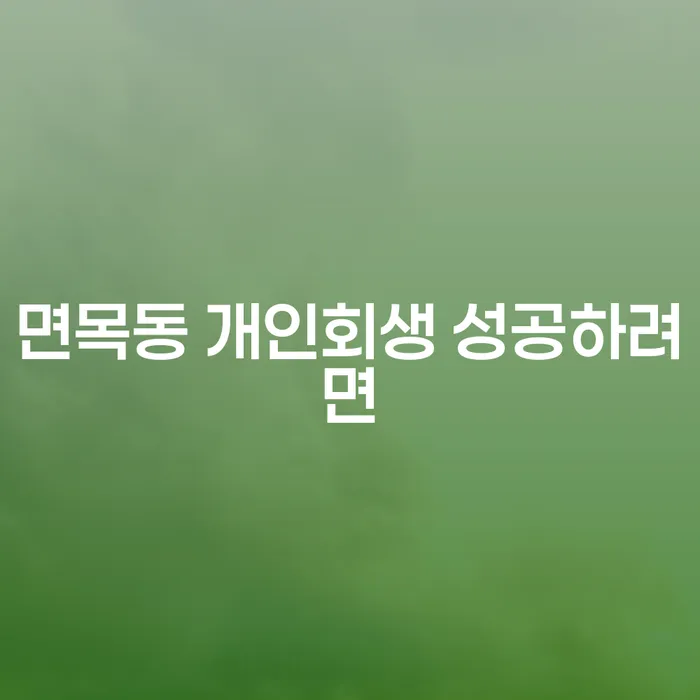 면목동 개인회생 성공하려면