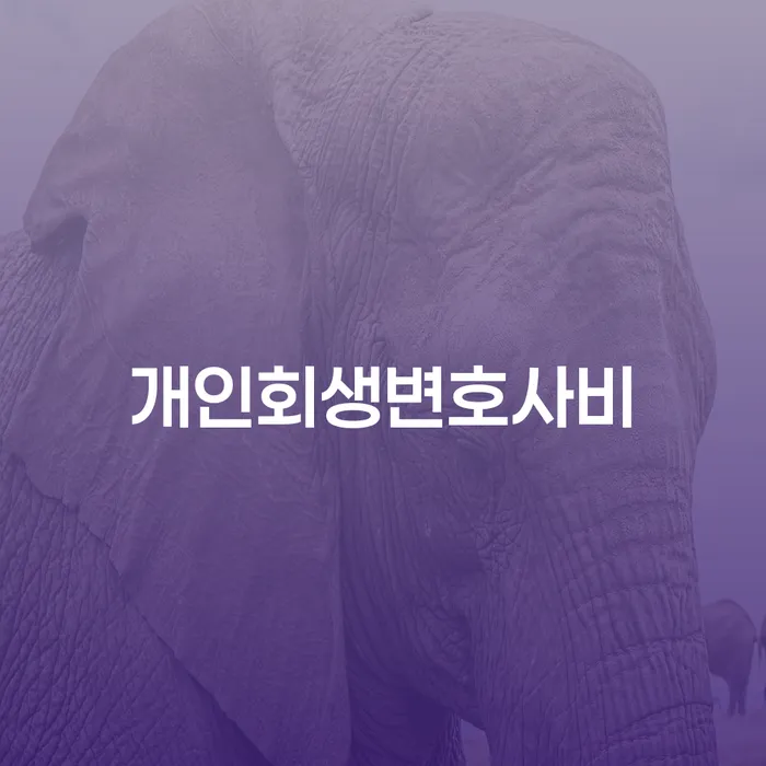개인회생과 파산, 수성구에서 어떻게 준비해야 할까요?